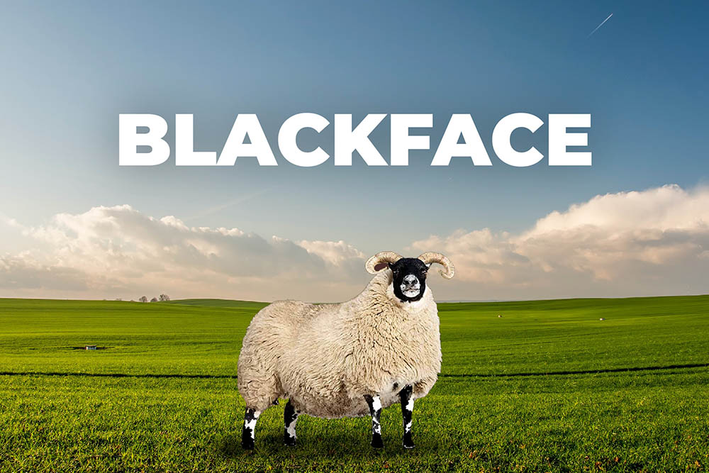 Oveja Blackface